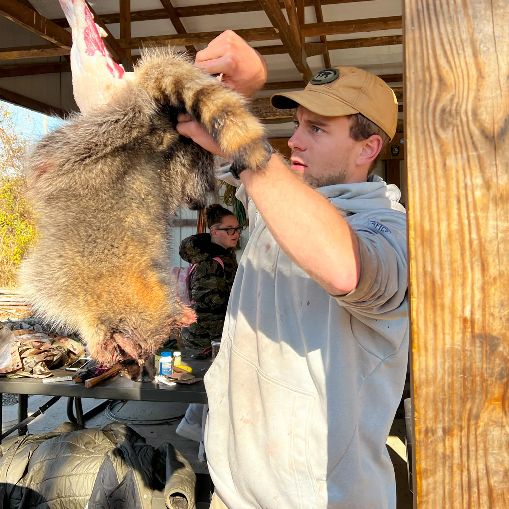 MODERN TRAPPING - Image 4